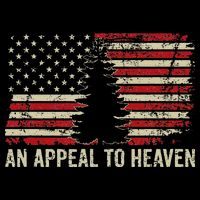 An Appeal To Heaven Usa Revolution Pine Tree American Flag Cooling Performance Crew T-Shirt