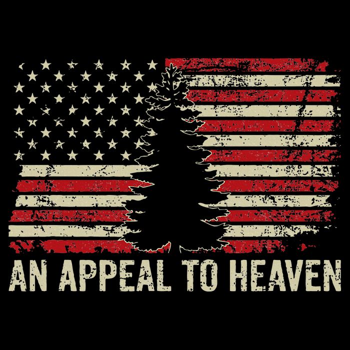 An Appeal To Heaven Usa Revolution Pine Tree American Flag Cooling Performance Crew T-Shirt