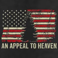 An Appeal To Heaven Usa Revolution Pine Tree American Flag Beanie