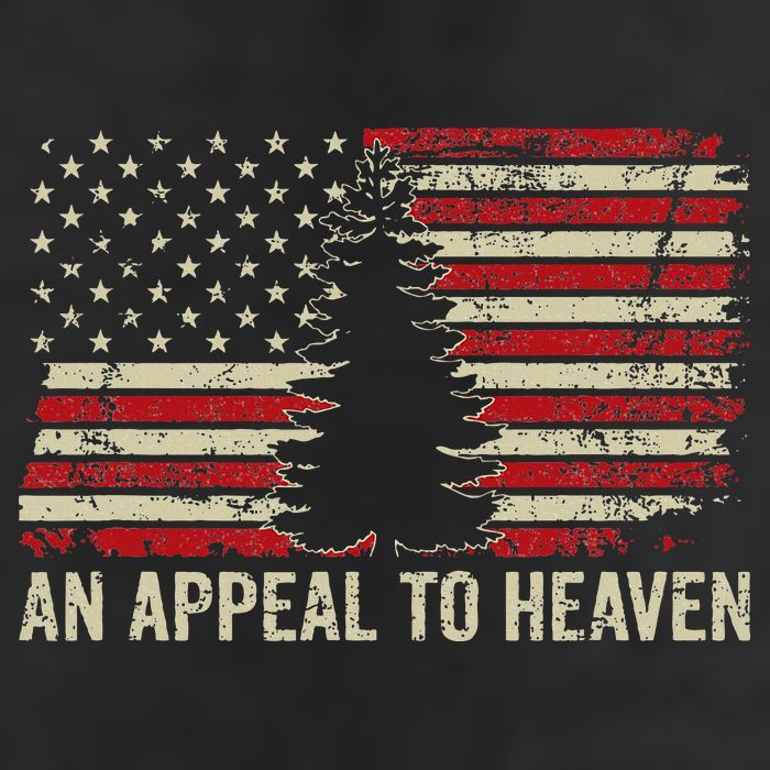 An Appeal To Heaven Usa Revolution Pine Tree American Flag Beanie