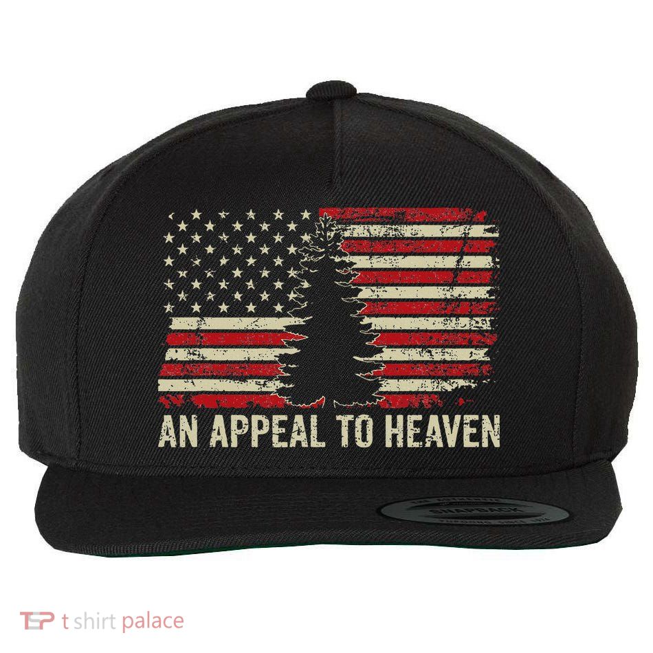 An Appeal To Heaven Usa Revolution Pine Tree American Flag Wool Snapback Cap