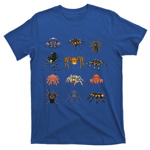 Animal Arachnid Tarantula Arthropod Halloween Gift Spider T-Shirt