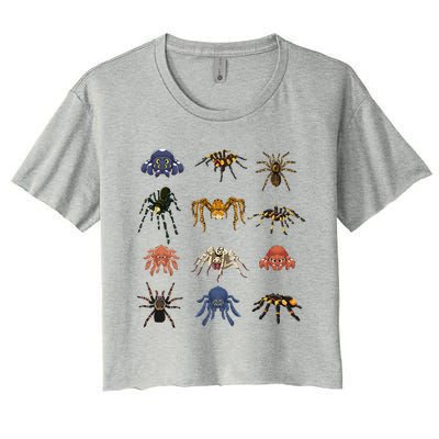 Animal Arachnid Tarantula Arthropod Halloween Gift Spider Women's Crop Top Tee