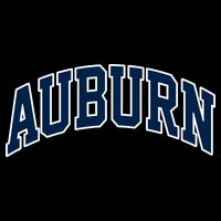 Auburn Impact Tech Backpack