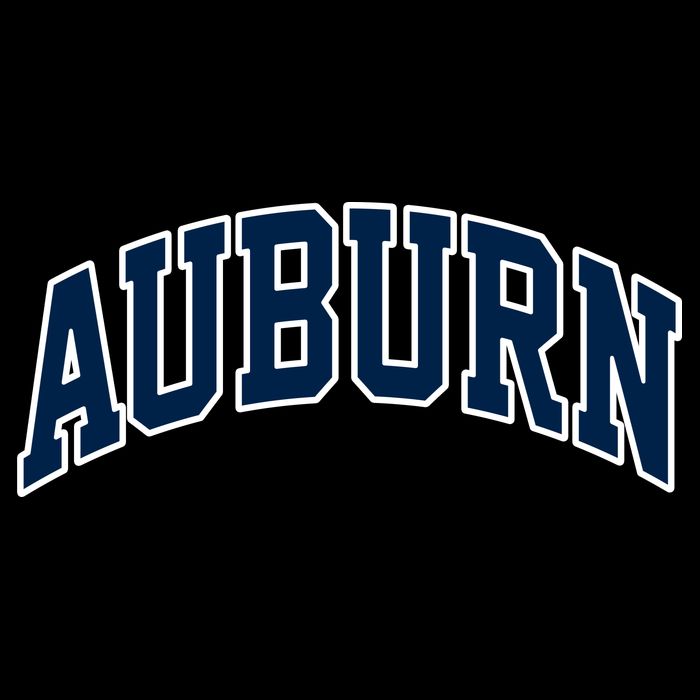 Auburn Impact Tech Backpack