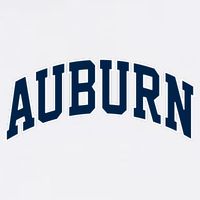 Auburn Adult Drive Performance Visor