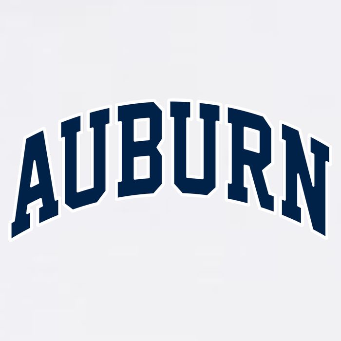 Auburn 11oz C Handle Ceramic Mug