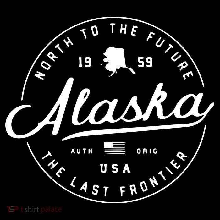Alaska Ak Usa Women's V-Neck T-Shirt