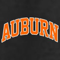 Auburn Adult Drive Performance Visor