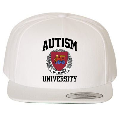 Autism Autismus University Autism Awareness Lover Wool Snapback Cap