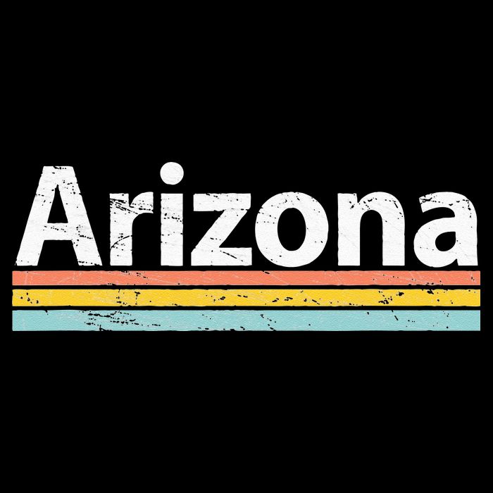 Arizona AZ Vintage Worn Design Retro Stripes Classic Bucket Hat