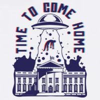 Alien Abduction White House 11oz C Handle Ceramic Mug