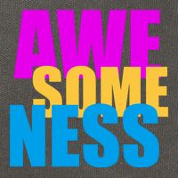 Awesomeness Cotton Canvas Backpack