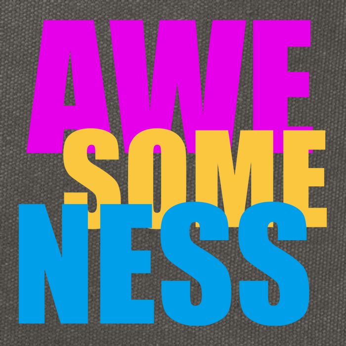 Awesomeness Cotton Canvas Backpack