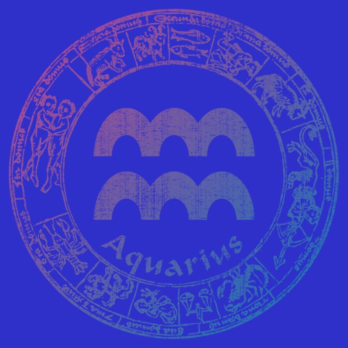 Aquarius Astrology Zodiac Horoscope Sign Meaningful Gift Womens T-Shirt