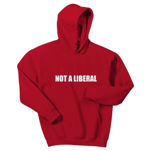 Anti Biden Anti Democrat Anti Liberal Funny Gifts Not A Liberal Kids Hoodie