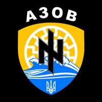 Azov Battalion A30B Shield Special Forces Ukraine Womens T-Shirt