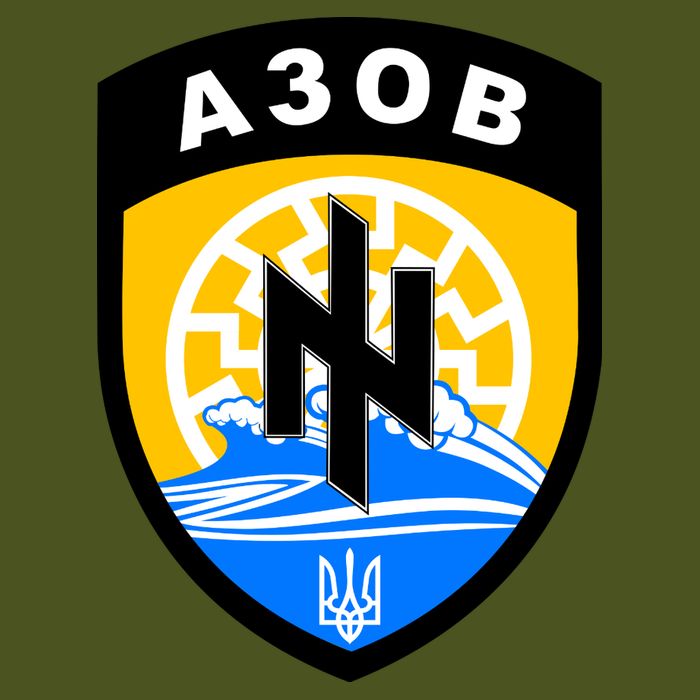 Azov Battalion A30B Shield Special Forces Ukraine Premium T-Shirt