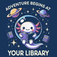 Adventure Begins At Your Library Summer Reading Program 2024 Hoodie