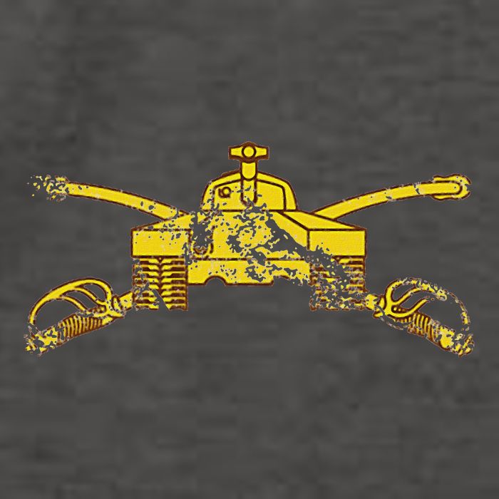 Armor Branch (Ar) 19 Kilo Tanker 19k Distressed Vector Backpack