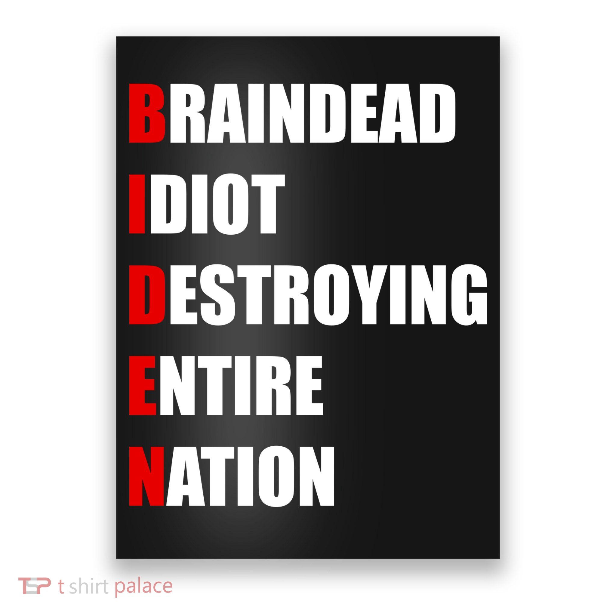 Anti Biden Braindead Idiot Destroying Entire Nation Poster
