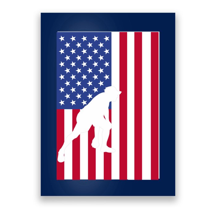 American Bocce Ball Poster