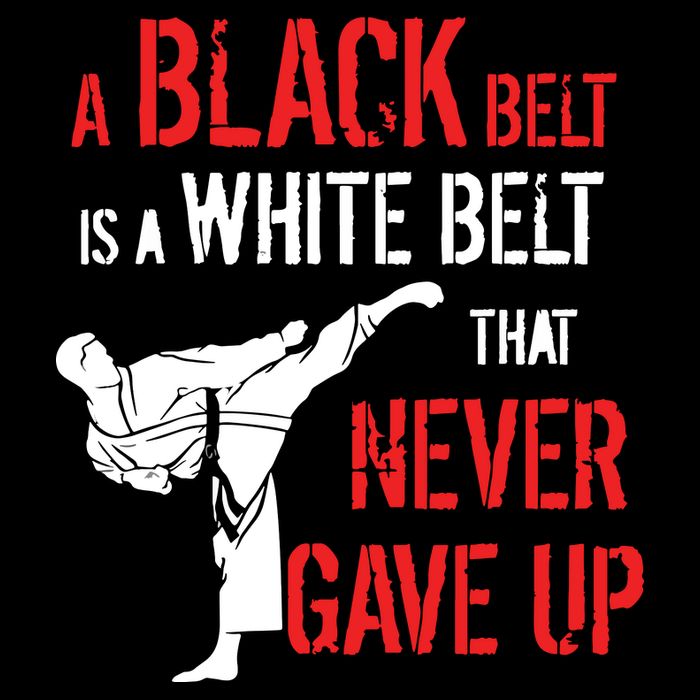 A Black Belt Is A White Belt That Never Gave Up Karate Gift Flexfit Unipanel Trucker Cap