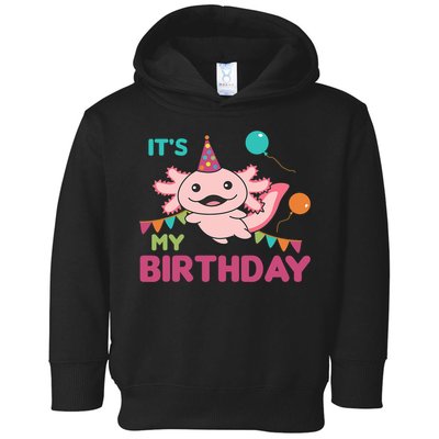 Axolotl Balloons Birthday Axolotls Toddler Hoodie