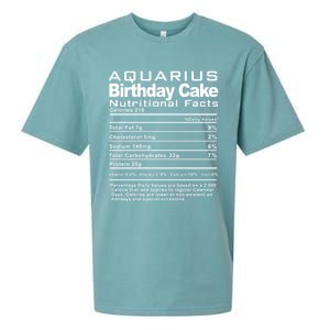 Aquarius Birthday Cake Nutrition Facts Gift Sueded Cloud Jersey T-Shirt