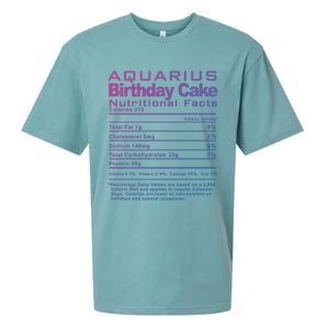 Aquarius Birthday Cake Nutrition Facts Gift Sueded Cloud Jersey T-Shirt