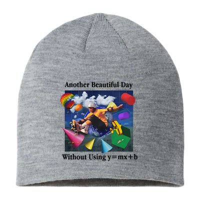 Another Beautiful Day Without Using Y=Mx+B Sustainable Beanie
