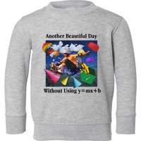 Another Beautiful Day Without Using Y=Mx+B Toddler Sweatshirt