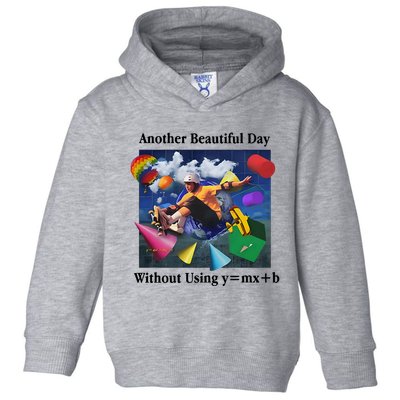 Another Beautiful Day Without Using Y=Mx+B Toddler Hoodie