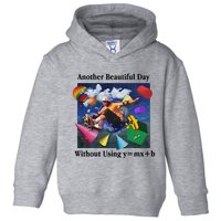 Another Beautiful Day Without Using Y=Mx+B Toddler Hoodie