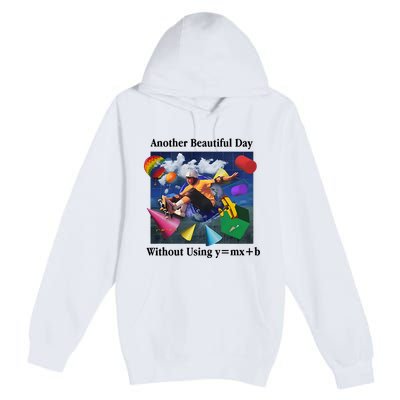 Another Beautiful Day Without Using Y=Mx+B Premium Pullover Hoodie