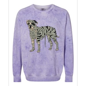 American Bulldog Dog Mummy Halloween Costume Dog Lovers Gift Colorblast Crewneck Sweatshirt