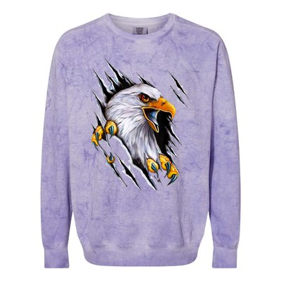 American Bald Eagle With Claws Colorblast Crewneck Sweatshirt