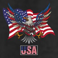 American Bald Eagle Usa Flag 7 Panel Mesh Trucker Snapback Hat