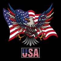 American Bald Eagle Usa Flag 16 in Basic Backpack