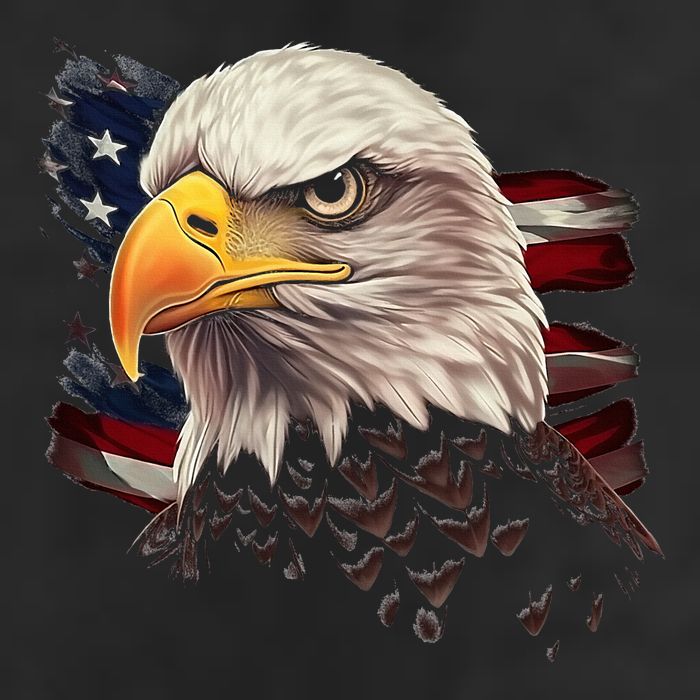 American Bald Eagle American Flag Usa Bald Eagle Cool Comfort Performance Bucket Hat