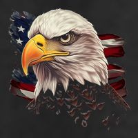 American Bald Eagle American Flag Usa Bald Eagle 7 Panel Mesh Trucker Snapback Hat