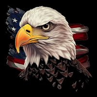 American Bald Eagle American Flag Usa Bald Eagle Cooling Performance Crew T-Shirt