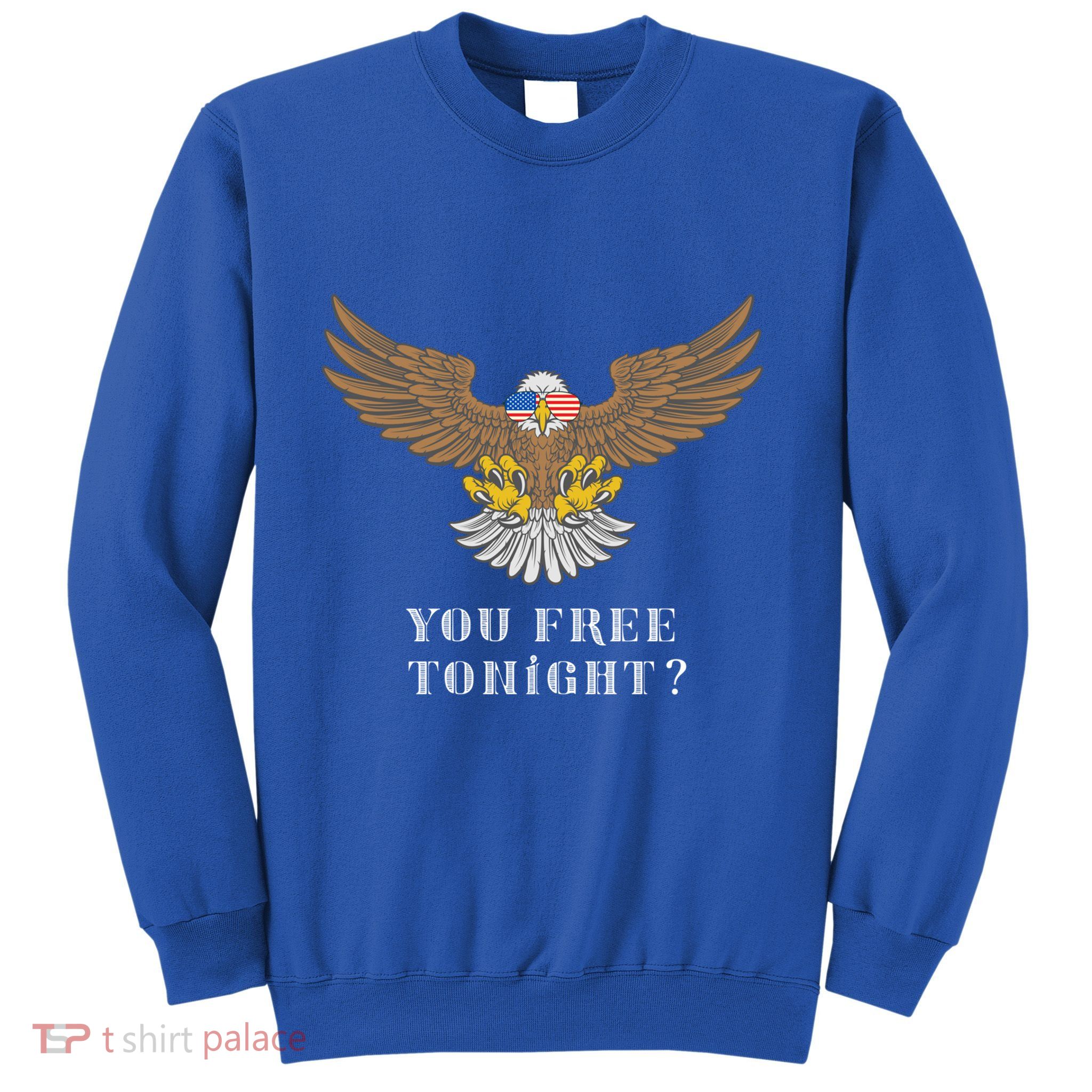 American Bald Eagle American Flag Patriotic You Free Tonight Great Gift Sweatshirt