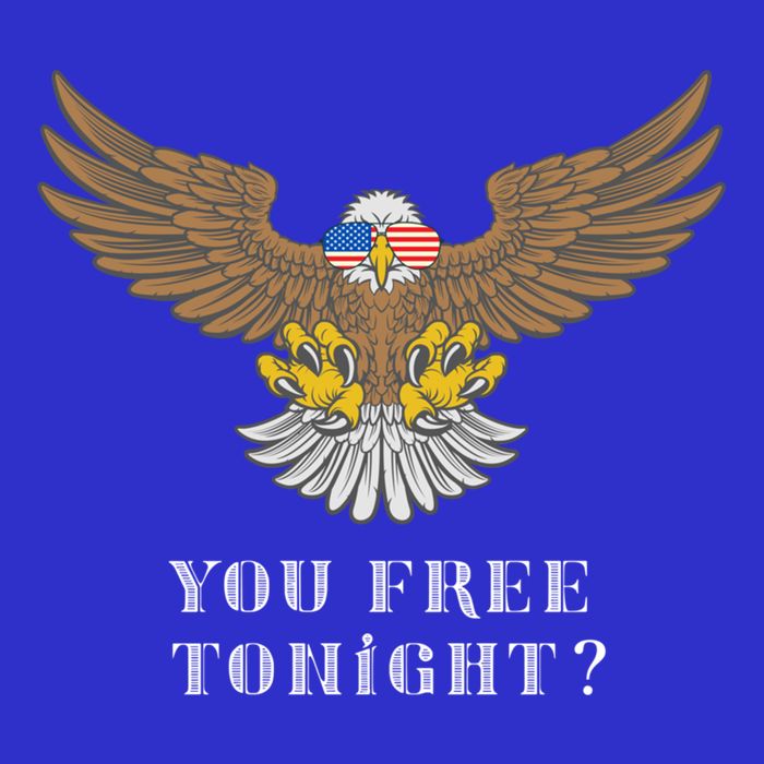 American Bald Eagle American Flag Patriotic You Free Tonight Great Gift Tall T-Shirt