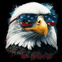 American Bald Eagle Usa Flag Eagle Usa 16 in Basic Backpack