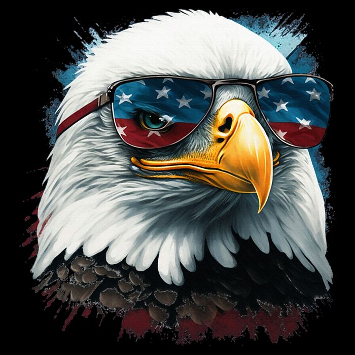 American Bald Eagle Usa Flag Eagle Usa 16 in Basic Backpack