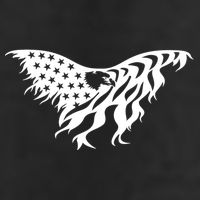American Bald Eagle Emblem 7 Panel Mesh Trucker Snapback Hat
