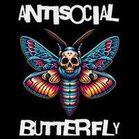 Antisocial Butterfly, Funny, With A Death Head Moth Button