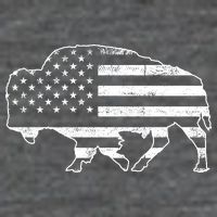 American Bison Gray Style Vintage Flag Flatbill Hat