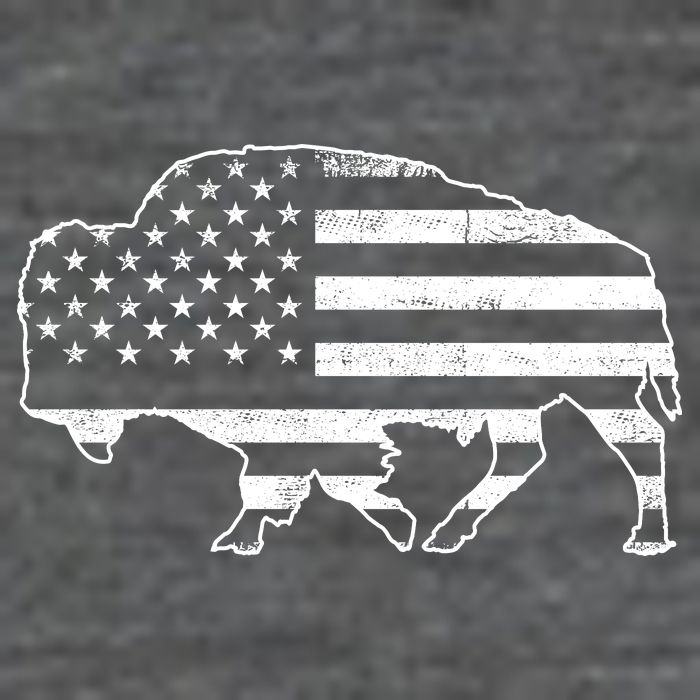 American Bison Gray Style Vintage Flag Flatbill Hat